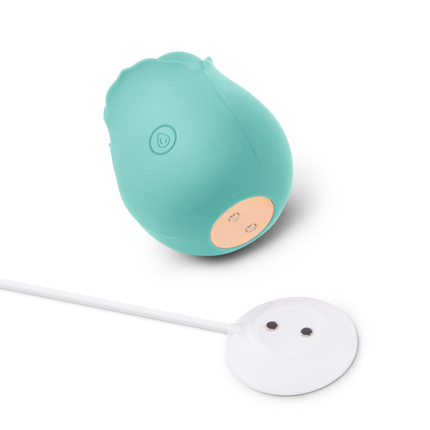 The Rose Suction Vibrator