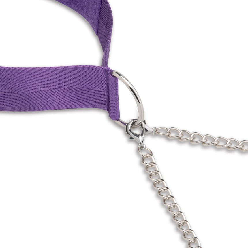 Lux Fetish Purple Collar & Nipple Clamps with Satin Blindfold