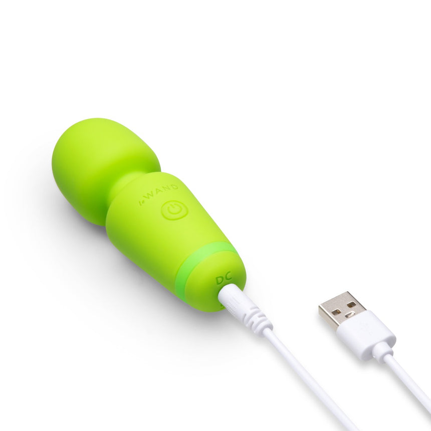 Le Wand Mini Wand Vibe