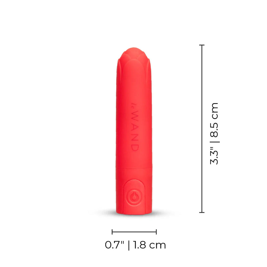 Le Wand Rose Bullet Vibe
