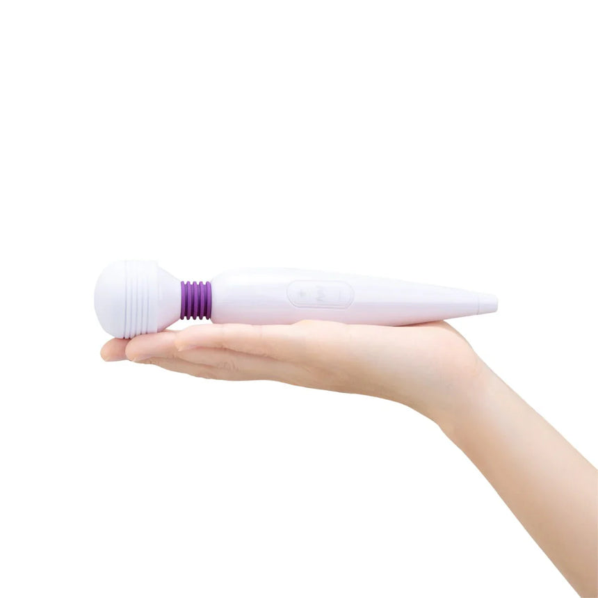 USB Rechargeable Mini Wand Massager