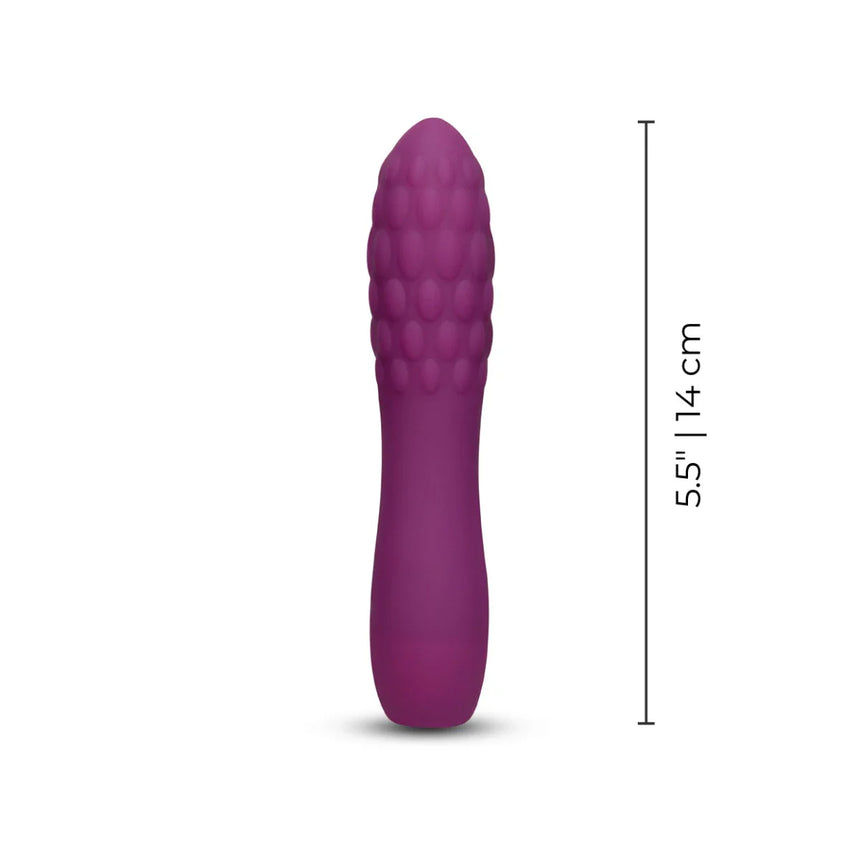 10 Function Silicone Vibe