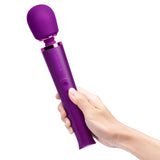 Le Wand Petite Rechargeable Massager