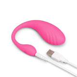 Together Orgie Egg showing a connected white charger 