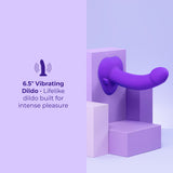 Vibrating Curved Strap-On Kit